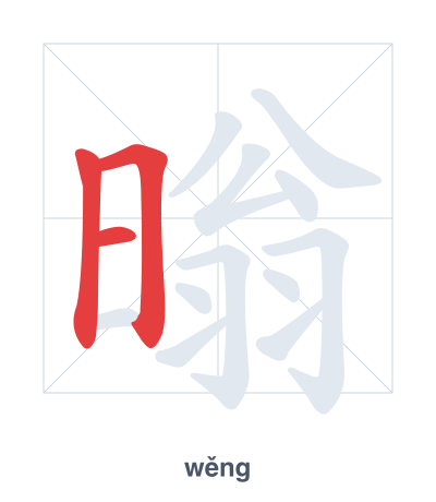 Pratica dell'ordine dei tratti per 暡 - wěng