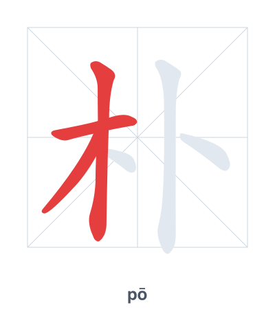 朴 (pō/pǔ) 笔顺练习
