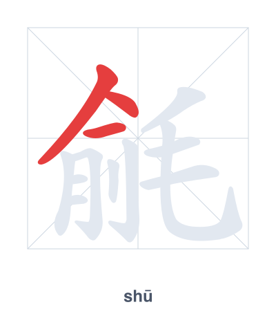 毹（shū）の筆順練習
