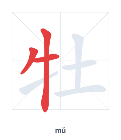 Pratica dell'ordine dei tratti per 牡 - mǔ