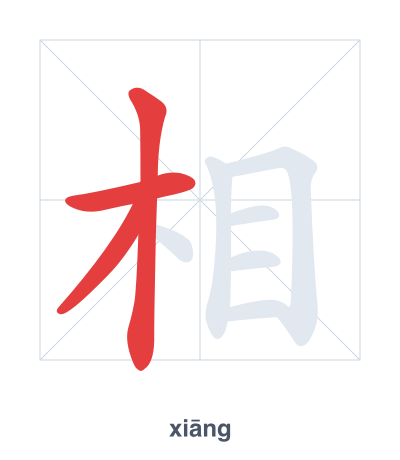 Strichfolge-Übung für 相 - xiāng/xiàng