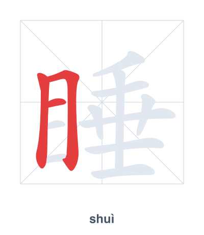 Práctica de orden de trazos para 睡 - shuì