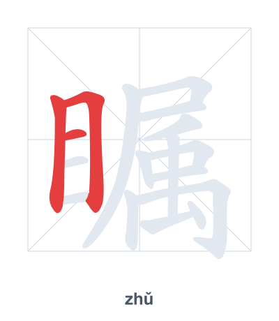 Pratica dell'ordine dei tratti per 瞩 - zhǔ