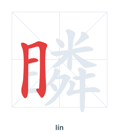 Pratica dell'ordine dei tratti per 瞵 - lín