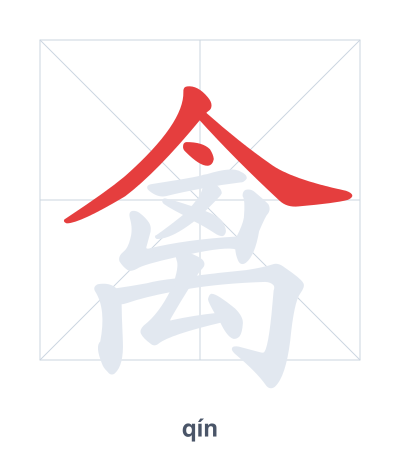 禽(qín) 획순 연습