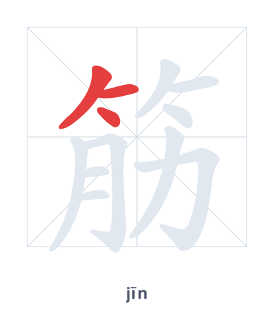 筋(jīn) 획순 연습