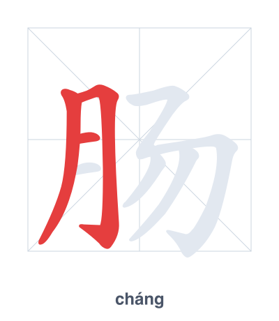 แบบฝึกลำดับเส้นสำหรับ 肠 - cháng