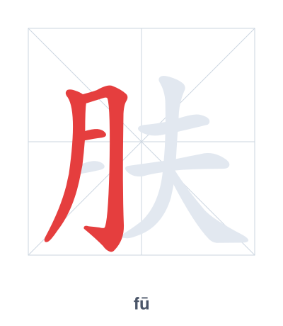 Pratica dell'ordine dei tratti per 肤 - fū