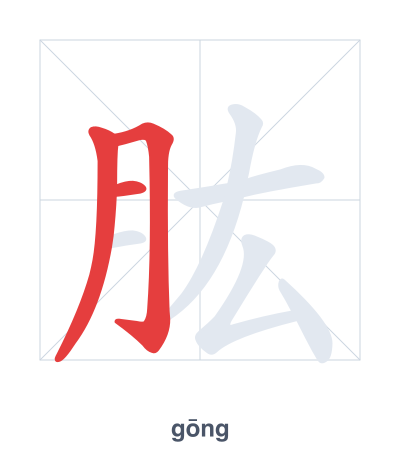 Práctica de orden de trazos para 肱 - gōng