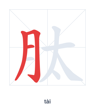 肽(tài) 획순 연습
