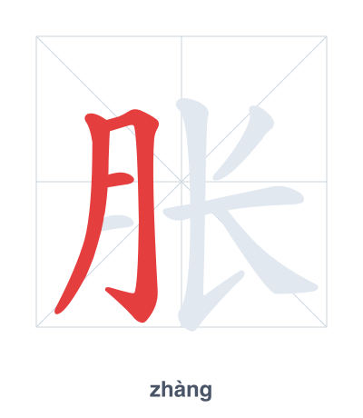 แบบฝึกลำดับเส้นสำหรับ 胀 - zhàng