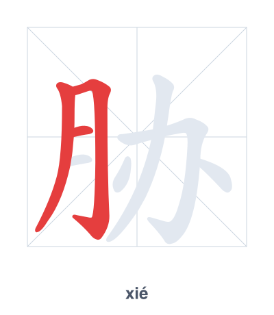 Pratica dell'ordine dei tratti per 胁 - xié