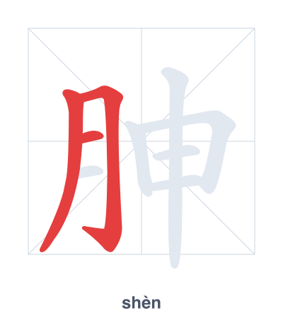 胂(shèn) 획순 연습