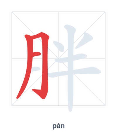Mazoezi ya mpangilio wa mikunjo kwa 胖 - pán/pàng