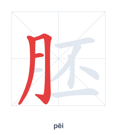 胚(pēi) 획순 연습
