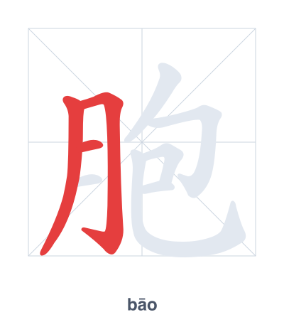 แบบฝึกลำดับเส้นสำหรับ 胞 - bāo