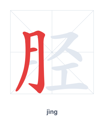 تدريب ترتيب الخطوط لـ 胫 - jìng
