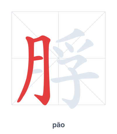 แบบฝึกลำดับเส้นสำหรับ 脬 - pāo