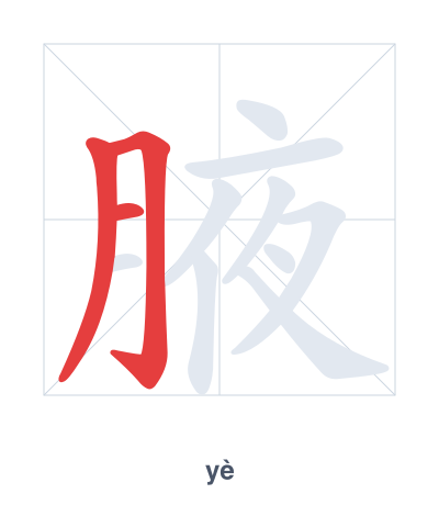 Pratica dell'ordine dei tratti per 腋 - yè