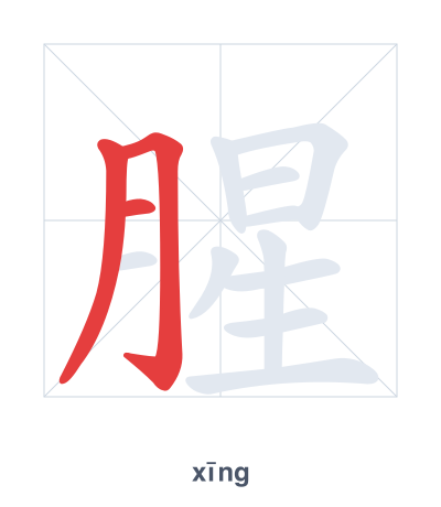 腥 (xīng) vuruş sırası pratiği
