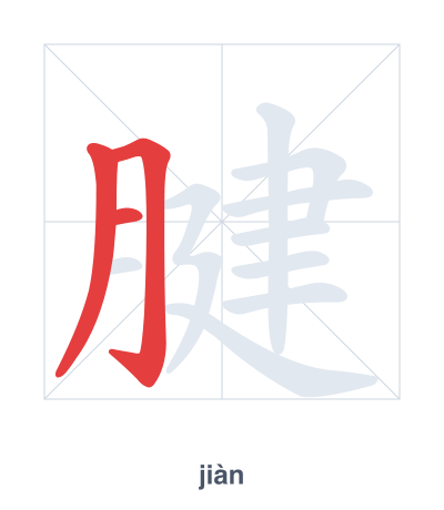 แบบฝึกลำดับเส้นสำหรับ 腱 - jiàn