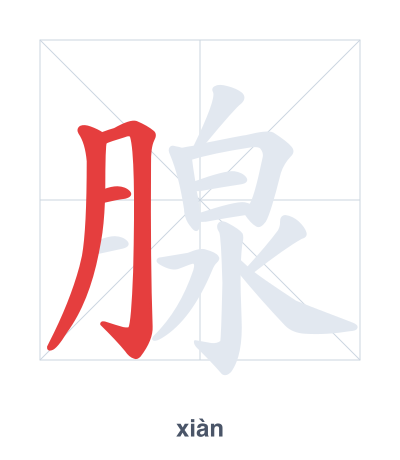 แบบฝึกลำดับเส้นสำหรับ 腺 - xiàn