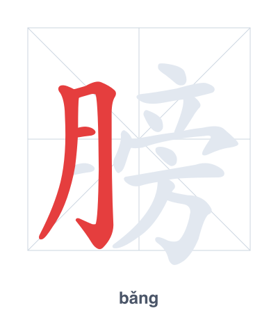 Pratica dell'ordine dei tratti per 膀 - bǎng
