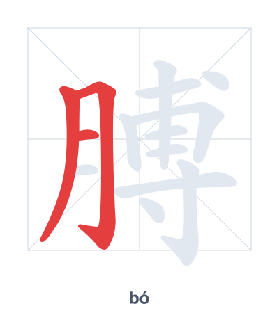 Pratica dell'ordine dei tratti per 膊 - bó