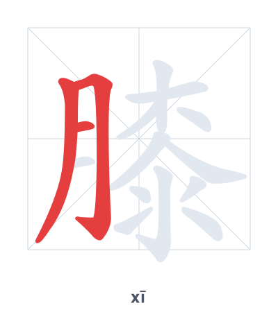 膝（xī）の筆順練習