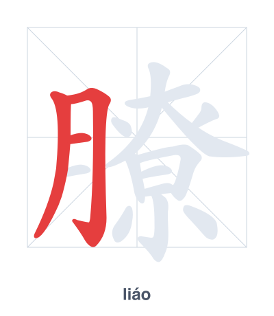 膫（liáo）の筆順練習
