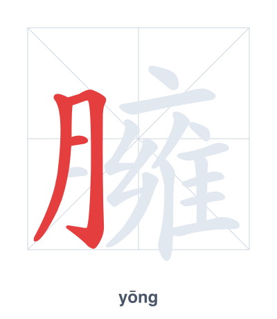 Pratica dell'ordine dei tratti per 臃 - yōng