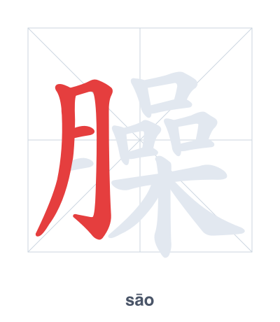 Pratica dell'ordine dei tratti per 臊 - sāo/sào