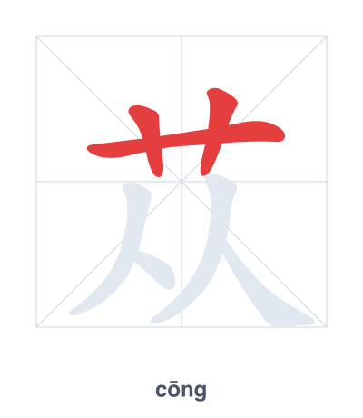 Mazoezi ya mpangilio wa mikunjo kwa 苁 - cōng