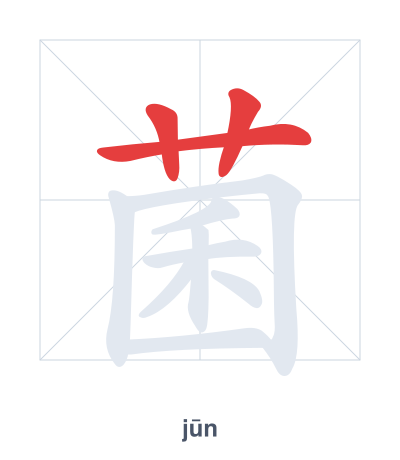 Pratica dell'ordine dei tratti per 菌 - jūn