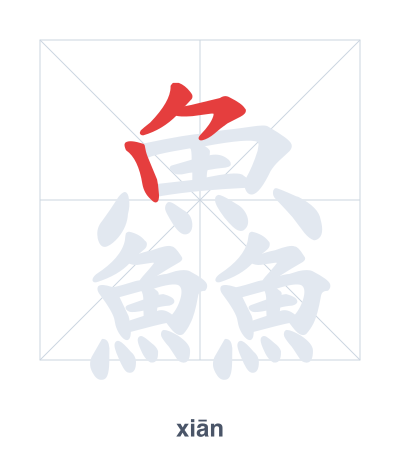 Stroke order practice for 鱻 - xiān